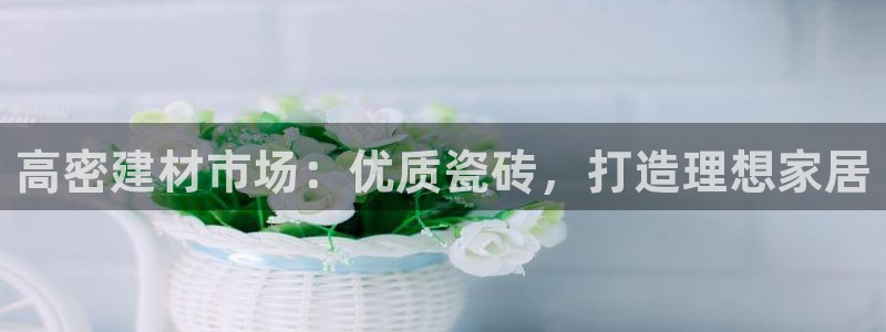 杏鑫平台登陆