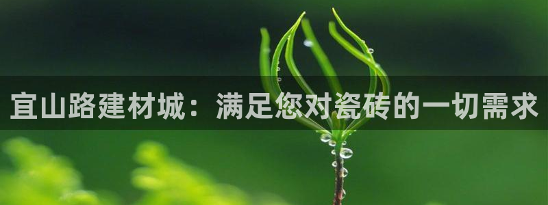 杏鑫平台招商电话