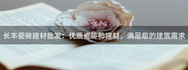 杏鑫平台代理怎么做的