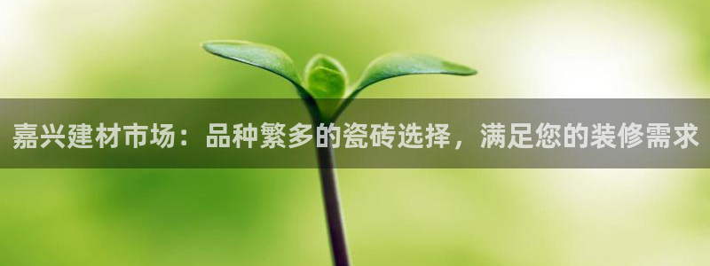 杏鑫平台代理怎么做赚钱