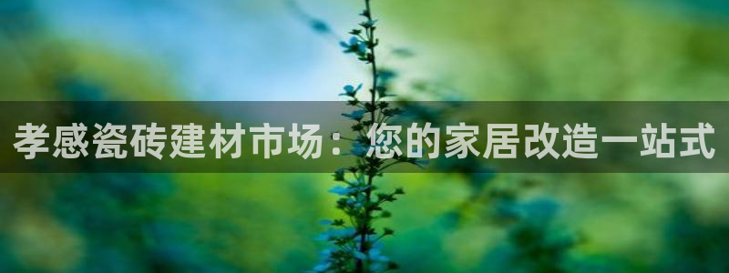 杏鑫平台念7O777