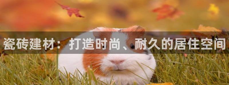 杏鑫官方平台怎么样