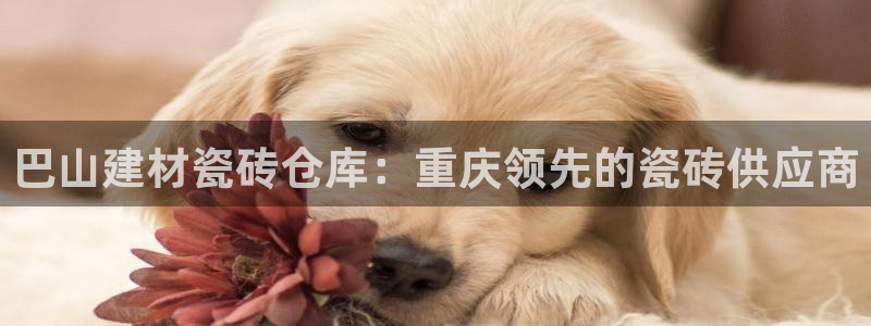 杏鑫官网最新信息