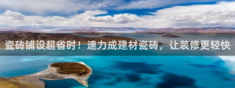杏鑫主管