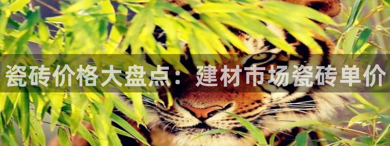 杏鑫注册登录