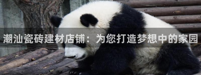 杏鑫官方平台怎么样啊安全吗