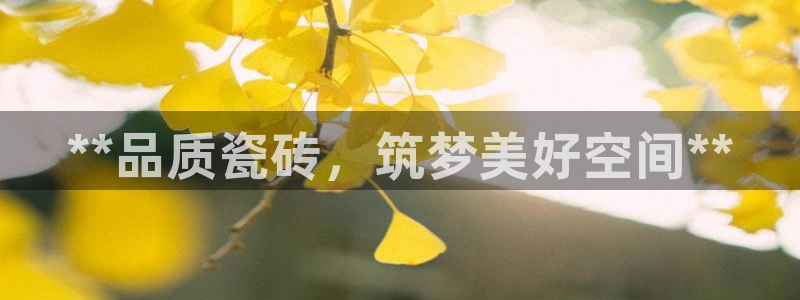 杏鑫招商总代