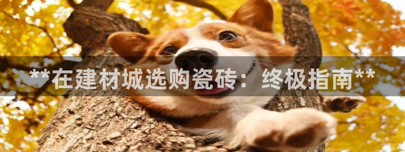 杏鑫平台招商电话是多少