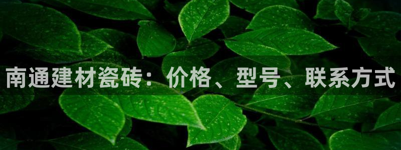 杏鑫平台招商