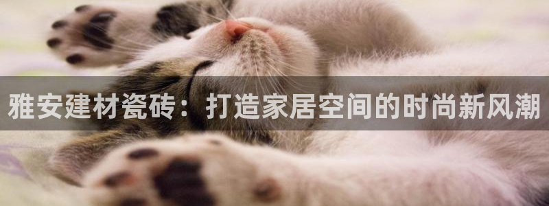 杏鑫平台代理怎么样可靠吗