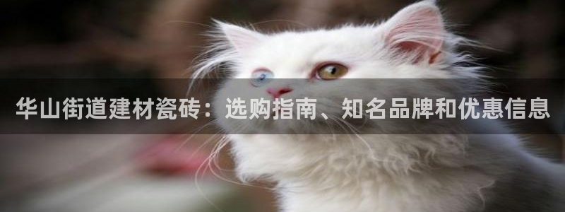 杏鑫平台招商怎么样