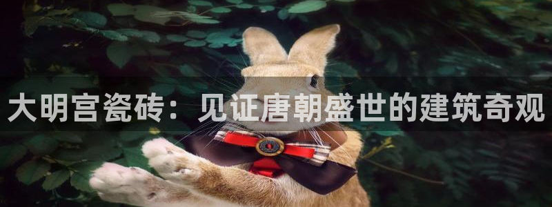 杏鑫官网注册账号密码忘了
