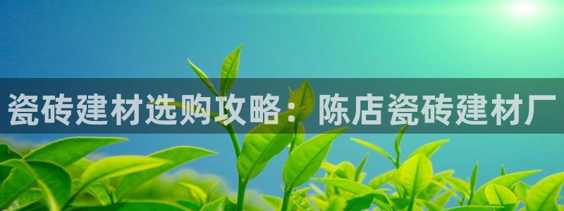 杏鑫官方平台怎么样