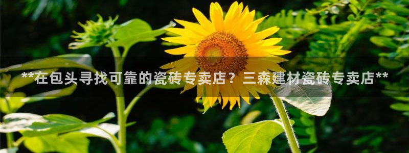 杏鑫娱乐平台