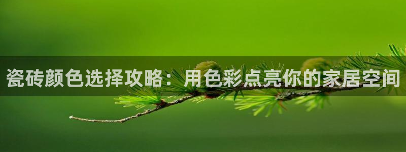 杏鑫平台注册地址
