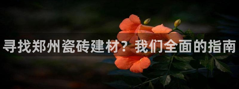 杏鑫平台代理怎么样赚钱