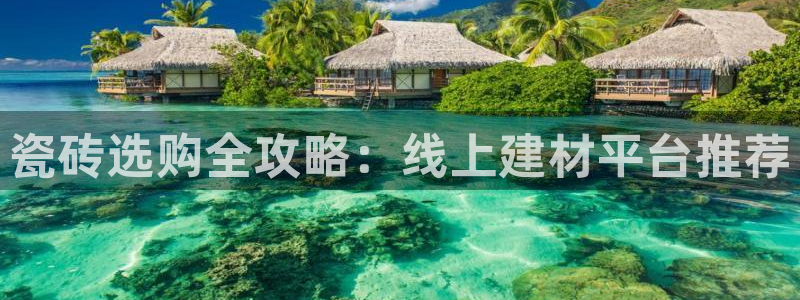 杏鑫官网最新信息新闻