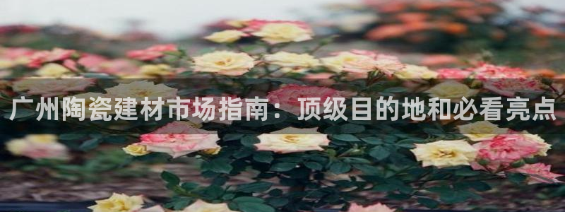 杏鑫平台正规吗可信吗