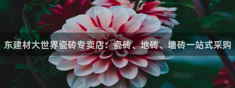 杏鑫娱乐是真的吗