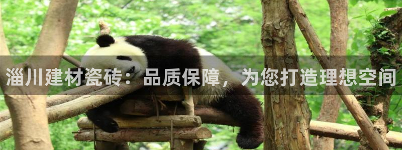 杏鑫注册登录平台是什么