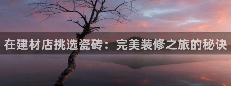 杏鑫官方平台怎么样啊知乎
