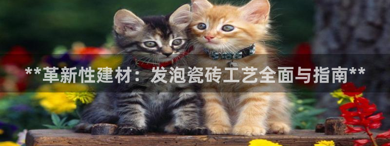 杏鑫平台待遇