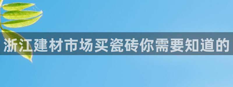 杏鑫主管