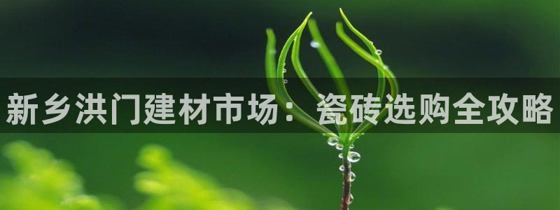 杏鑫平台直属哪个公司