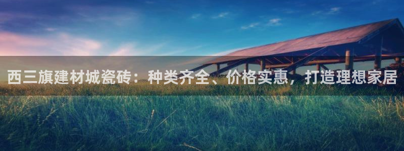 杏鑫主管