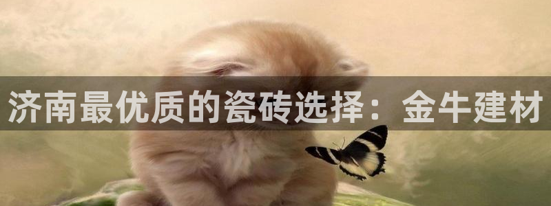 杏鑫平台代理注册多少钱啊