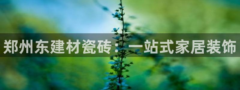 杏鑫官网