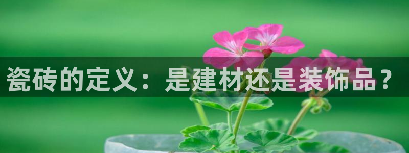 杏鑫娱乐官网