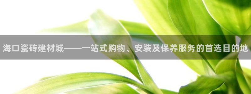 杏鑫官方平台怎么样啊知乎