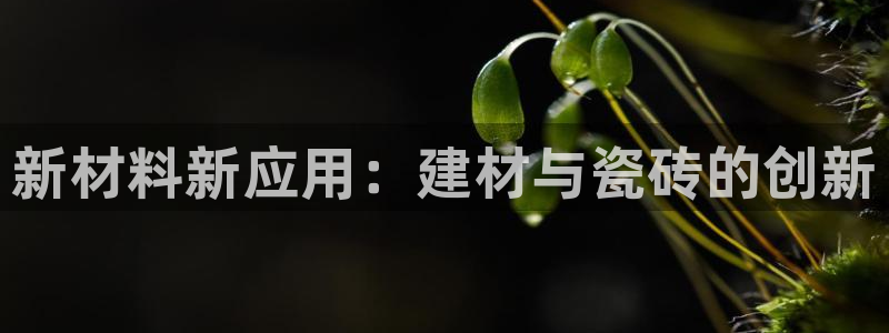杏鑫平台念7O777