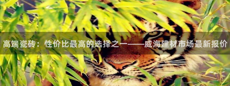 杏鑫官网最新信息新闻报道