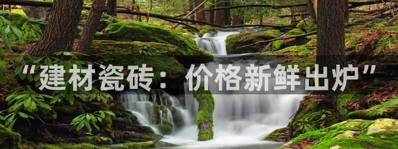 杏鑫平台平台娱乐