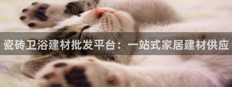 杏鑫平台平台娱乐