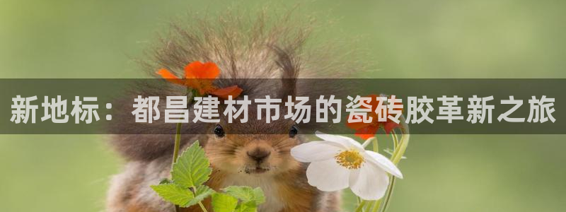 杏鑫官网最新信息新闻
