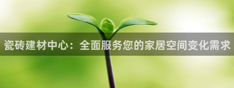 杏鑫官方app代理