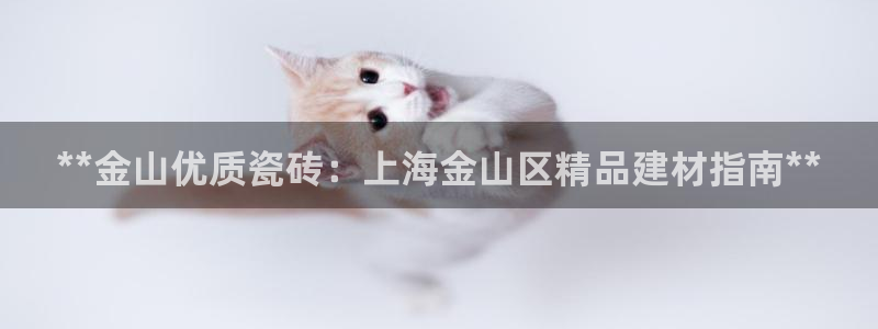 杏鑫平台野马联盟