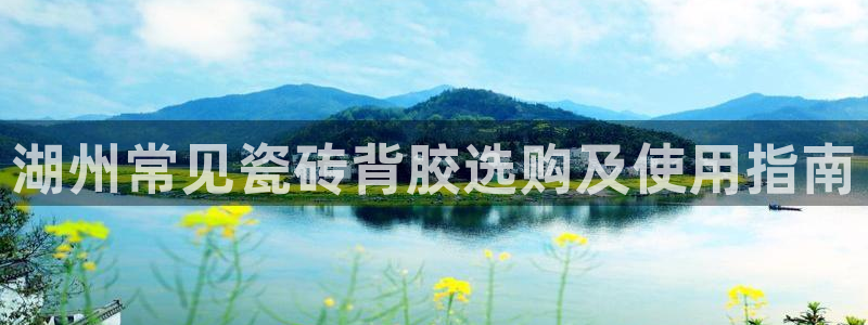 杏鑫平台代理注册登录不了怎么办呀苹果