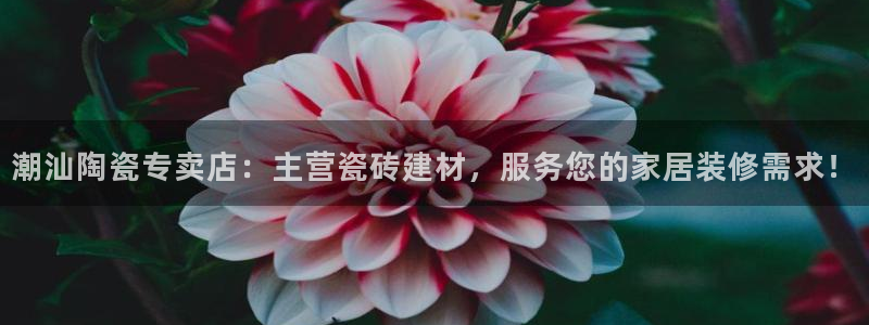 杏鑫平台代理注册登录不了怎么办呀视频