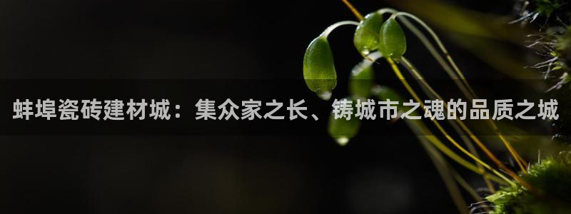 杏鑫官网注册账号密码是什么