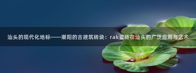 杏鑫官网注册账号是什么意思