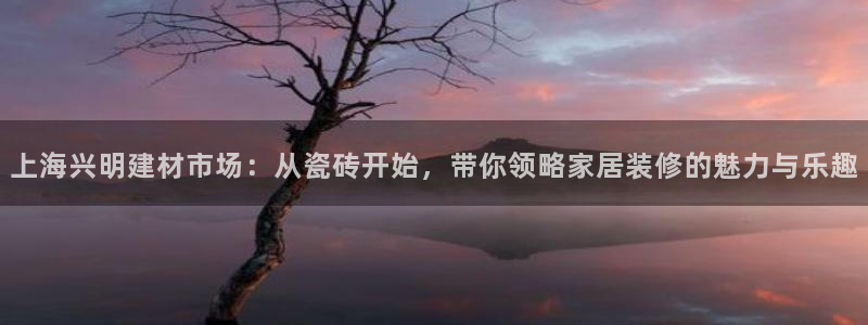 杏鑫官网注册账号怎么注册不了