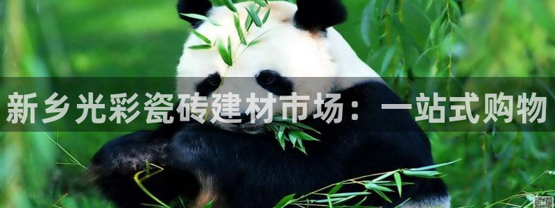 杏鑫娱乐官网登录不了