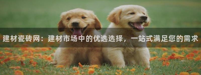 杏鑫代理注册资金多少