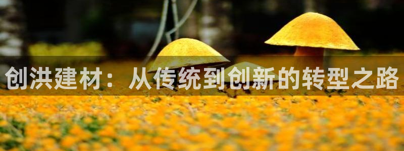 杏鑫平台注册地址在哪里