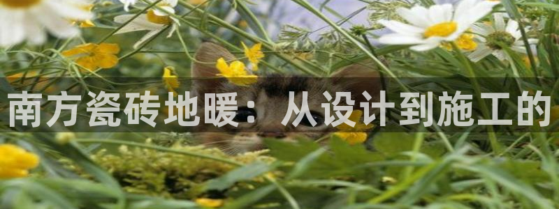 杏鑫娱乐平台登录注册网站