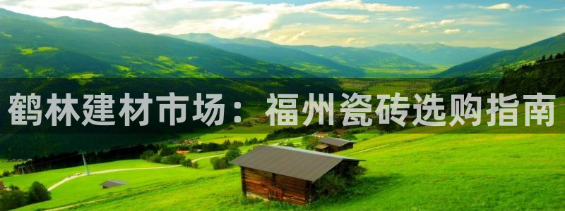 杏鑫代理注册资金多少